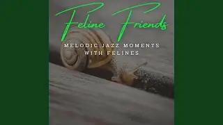 Harmonic Jazz for Whiskered Companions