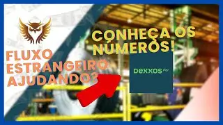 📈 DEXXOS no Radar! 📉💼