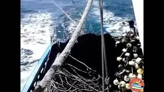 EL GUERRERO NAVEGANTE