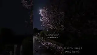 Late Night Thoughts That Hit Different 🌙✨ | Relatable Aesthetic Short #shorts