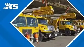 New report finds Seattle City Light employees were drunk at work, harassed female colleagues