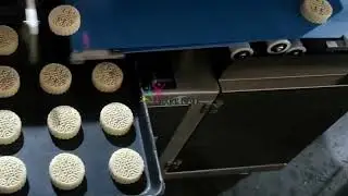 #maamoul #mooncakes BNT-208 Middle Eastern Nuts Stuffed Maamoul Machine Five Kernel Mooncake Machine
