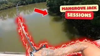 DRIFTING LIVE MULLET UNDER A FLOAT FOR MANGROVE JACK
