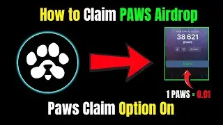 Paws Important Listing Update | $PAWS Token Price | Paws Token Launch & Withdraw Exchanges |