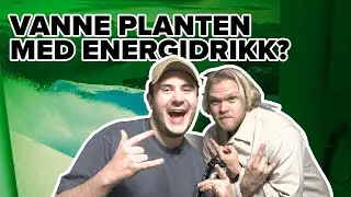 VANNE PLANTEN MED ENERGIDRIKK? // Tour av HQ! m/ Herman og Martin!