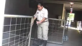 Dirty Jobs: Pooper Scooper