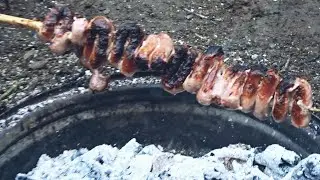 wild camping bushcraft cooking. sausage on a stick no pan no grill wood fire forest cooking