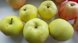 Яблоки в  конце сезона.Уэлси,Краса Свердловска,Феникс Алтайский,Соковое осеннее2025