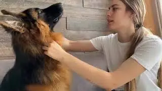 Leo Fucarev! my dogs morning routine