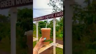 Hawaii Greenworld coffee farm #coffee #hawaii #coffeefarm