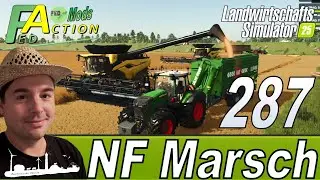 LS25 🚜 287 NF Marsch 4fach Das gr&ouml;&szlig;te Feld Leinsamen kann gedroschen werden #farmingsimulator25