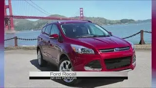 Ford/Chrysler Recall