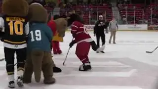 Mascot Mania - What You Missed