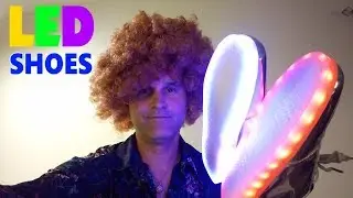 LED Shoes Light Up USB Charging Low Top