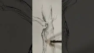 #artist  #viral #graphite #drawing #trending #tree #sketch