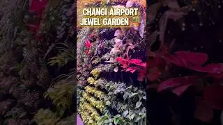 Singapore Changi Airport Jewel water falls more attractive places natural lighting games #viewsvideo