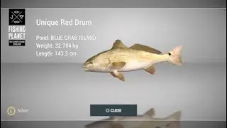 How to catch Unique Red Drum at Blue Crab Island