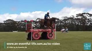Wallaby Hill Extravaganza Hunter Trials 2025