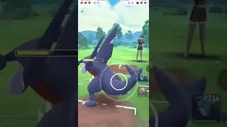 #pokemon #pogo #pokemongo #augmentedrealitygame #teamrocket #teaminstinct #teamgorocket #garchomp
