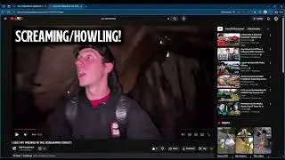 reacting to itm paranormals with ty himself