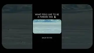 Be the damn penguin #penguin #nihilist #f1