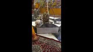 Mysterious Shiv Sandhya aarti secrets Live
