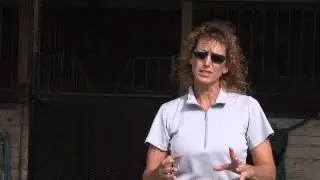 How to Become a Certified Horse Trainer