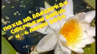 Похід на байдарках річкою Сіверський Дінець.
