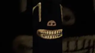cat&oacute;n cat😱