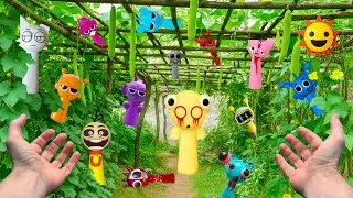 What! Sprunki Was Found on My Garden&rsquo;s Gourd Trellis&mdash;How Is This Possible!