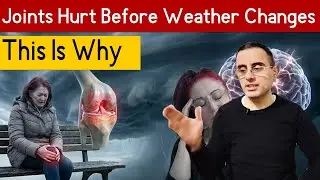 &ldquo;Why Your Body Feels the Weather Before It Happens