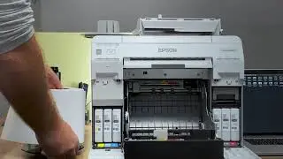 DSI e Portal O Impressor apresentam a impressora de fotos Epson SureLab D870