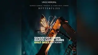 Butterflies vs. Gold Skies (Martin Garrix Mashup)