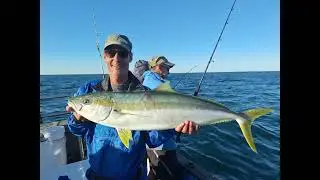 Epic Yellowtail Catch Off Port Elizabeth (Deep Sea Fishing Adventure)