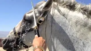 Carlos' water rake