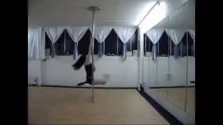 Emily's Pole Fitness, Level 2 PDC Syllabus