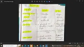 Stack and Heap Memory