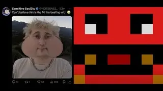 EthanIsOnline is CHRONICALLY ONLINE!