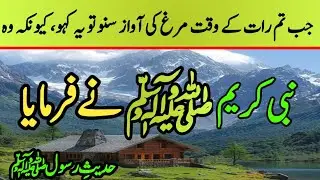 Raat Ko Murgh Ki Awaaz Sun Kar Kya Kehna Chahiye? |Hadith in urdu | Hadees Nabviﷺ | Bright up Hadith