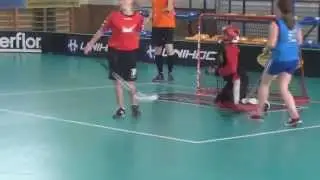 Półfinał wojewódzki unihokeja dziewcząt SP Żytowiecko