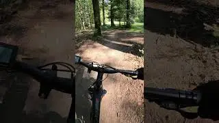 Haseltal-Trail near Bad Orb 🤩
