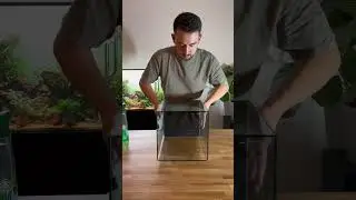 Changing the black aquarium foil to a white frosty foil #aquarium #fishtank #fish #aquascape
