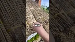 Как эта древняя технология строительства крыш остаётся эффективной 🤯 (@thethatchingguy)