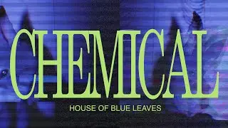 HOUSE OF BLUE LEAVES - 