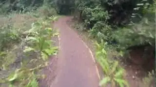 GoPro Mountain Biking at Nisene Marks Split Stuff Trail