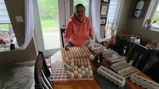 The Mellon Patch Homesteading TV Ep 10