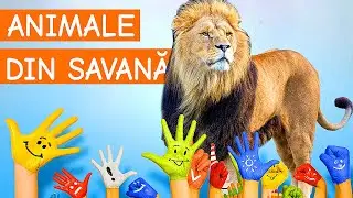 Animale salabatice din savana africana - Sunete de animale
