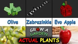 Grow A Garden Roblox ACTUAL Plants VS Real Life | Oxy Foxy