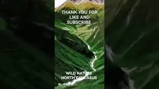 WILDLIFE, NORTH CAUCASUS.