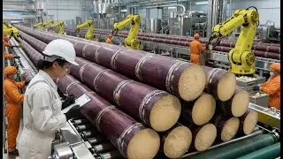 Inside a Massive Sugar Factory | Step-by-Step Sugar Production (ASMR) #howitsmade #factoryprocess